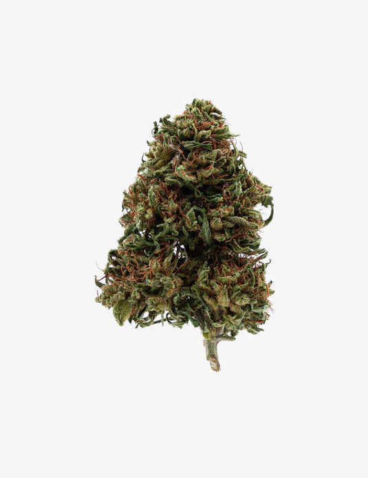 Pineapple – Fleur HE