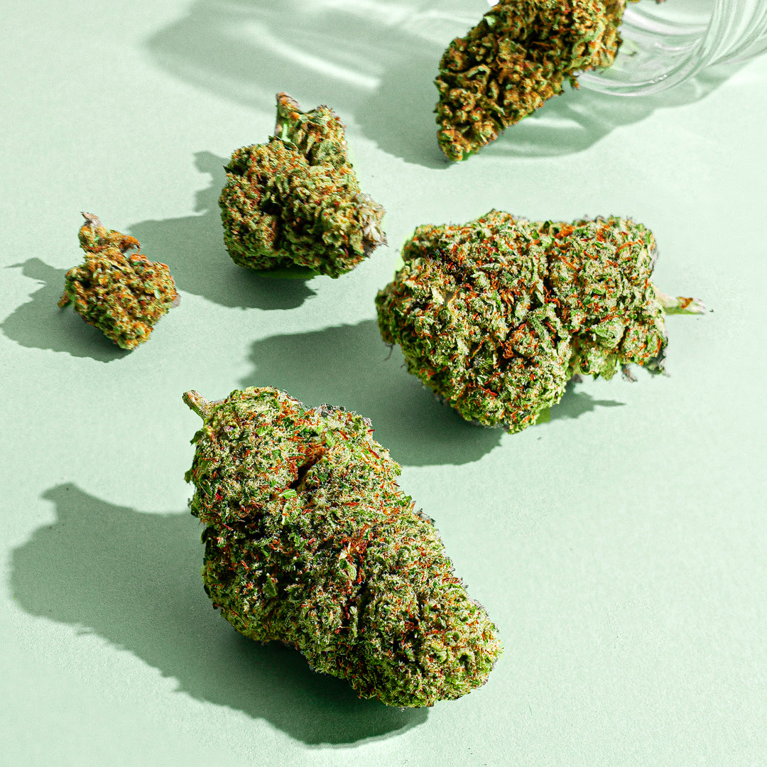 Comment bien choisir sa fleur de CBD ?