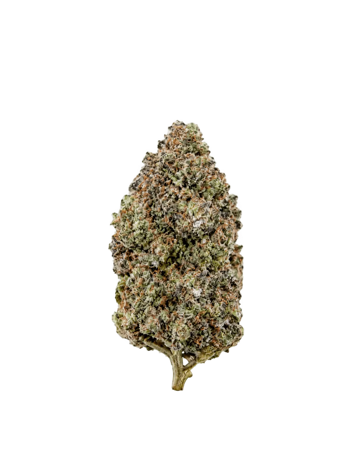 Sour Diesel – Fleur CBD Indoor · Green Society