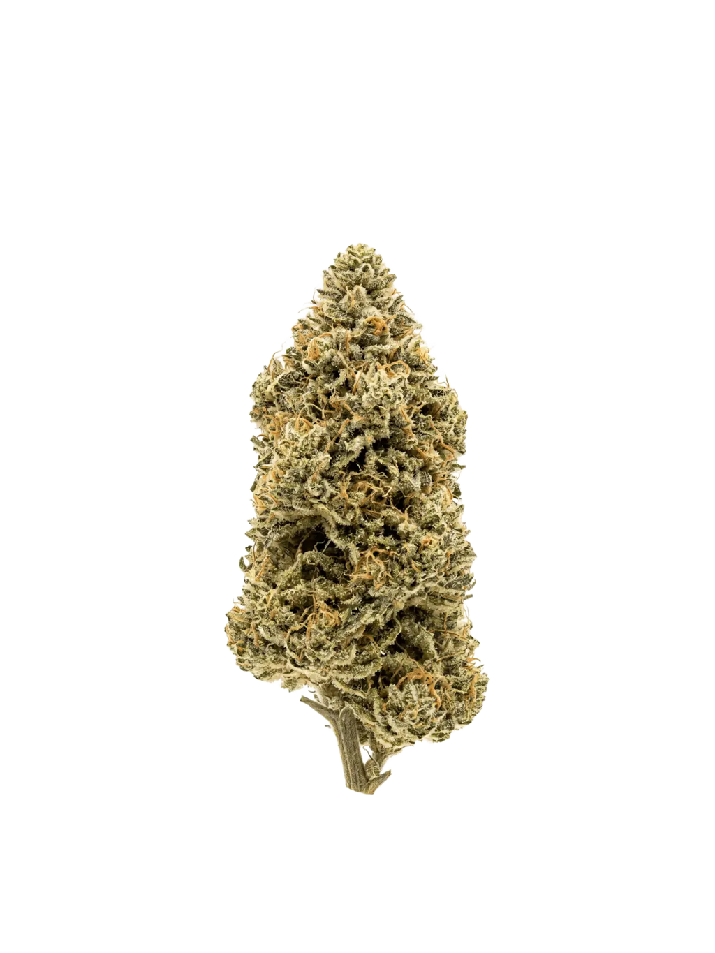 Banana Cream – Fleur HE (CBG) · Green Society