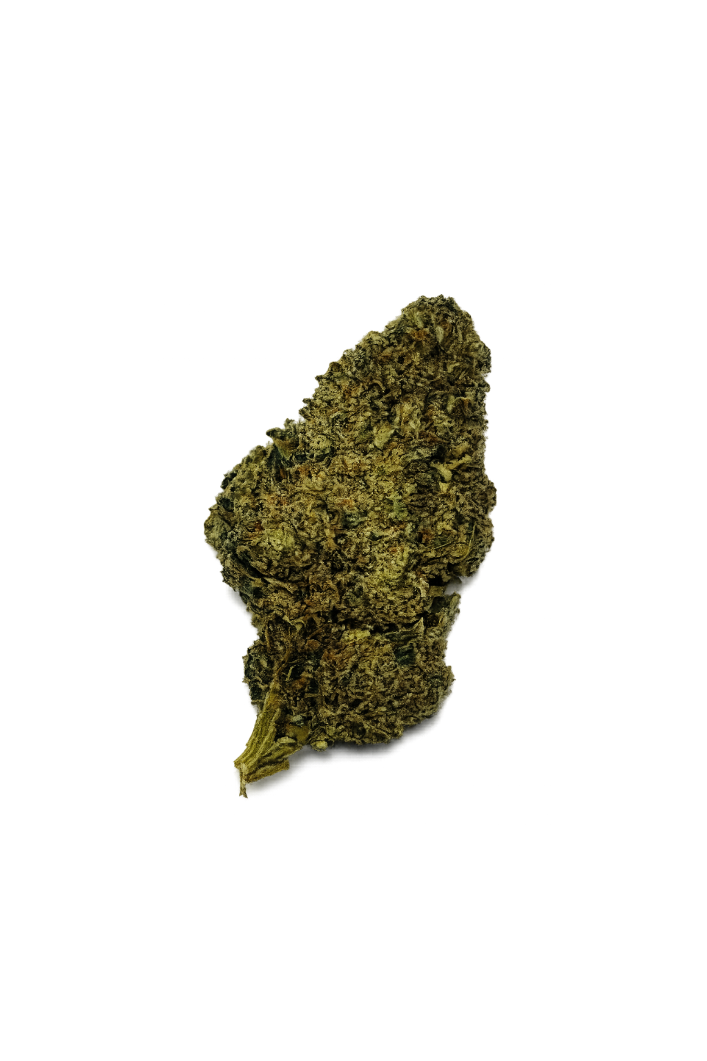 Candy Kush – Fleur HE