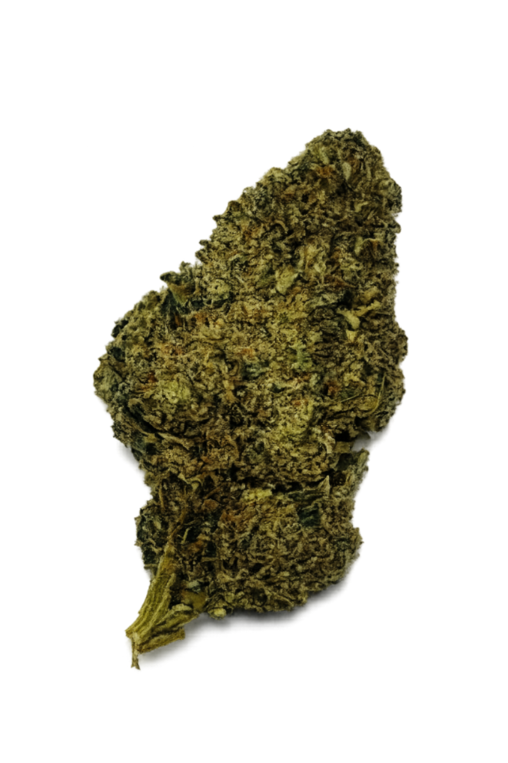 Candy Kush – Fleur HE