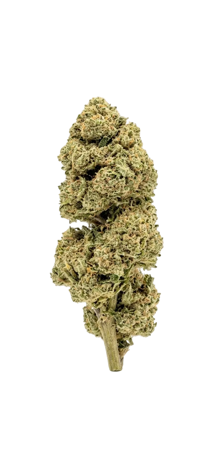 Candy Kush – Fleur CBD Natural Light Ma boutique