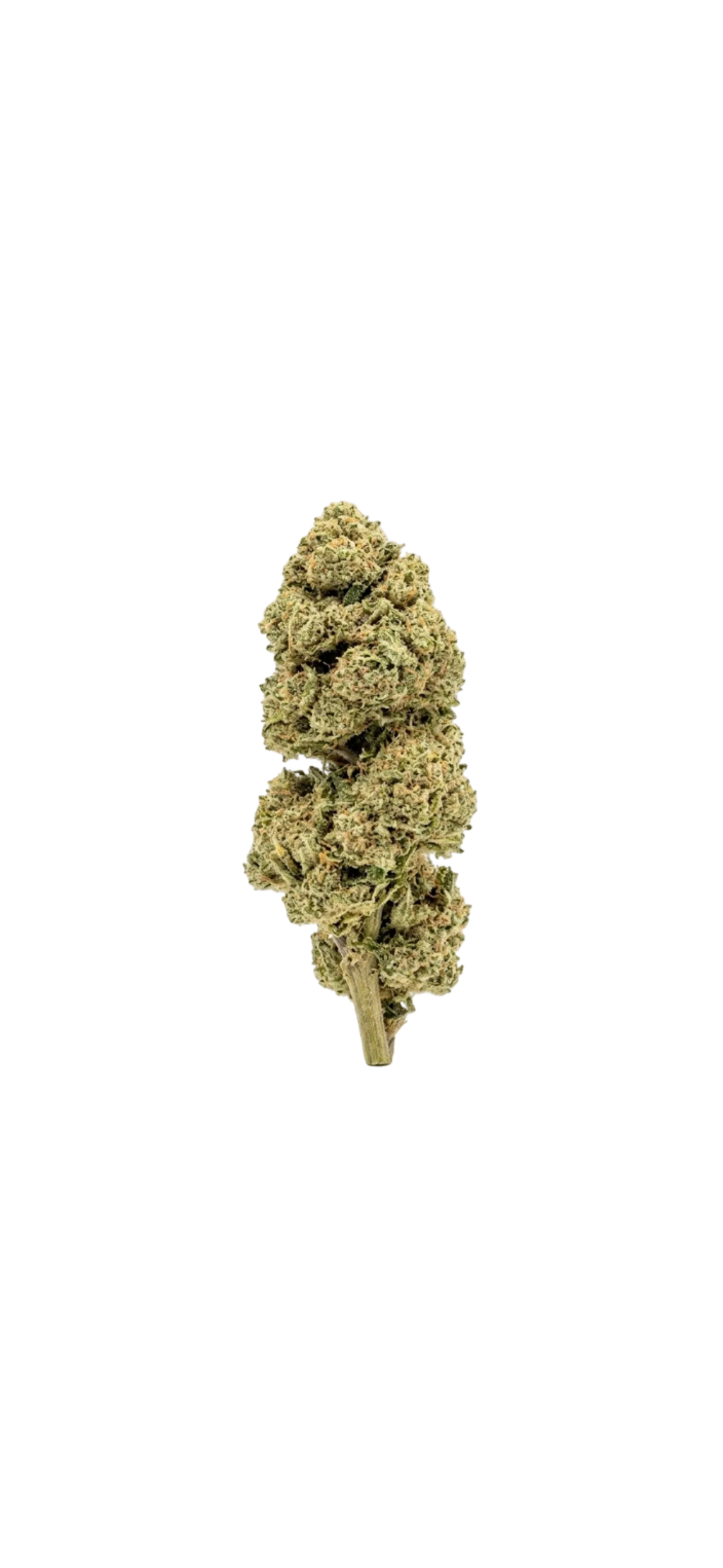 Candy Kush – Fleur CBD Natural Light Ma boutique