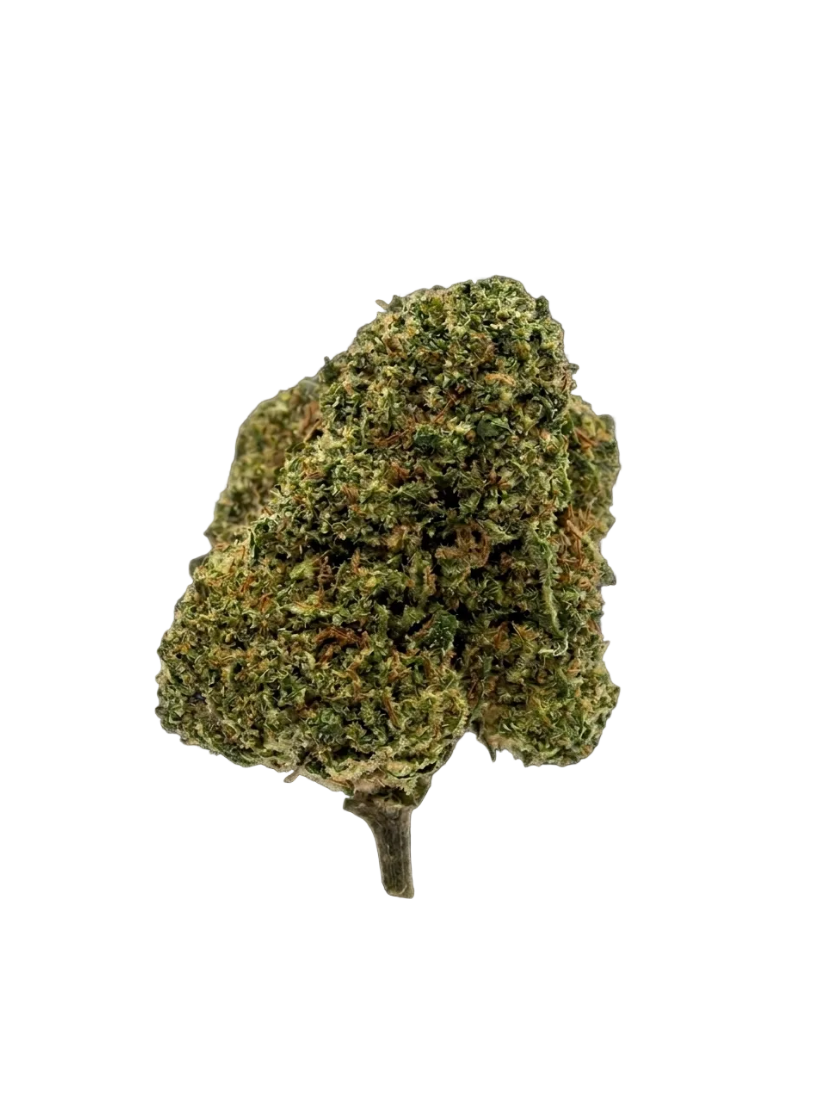 Skittles Cali – Fleur CBD Small Bud Green Society