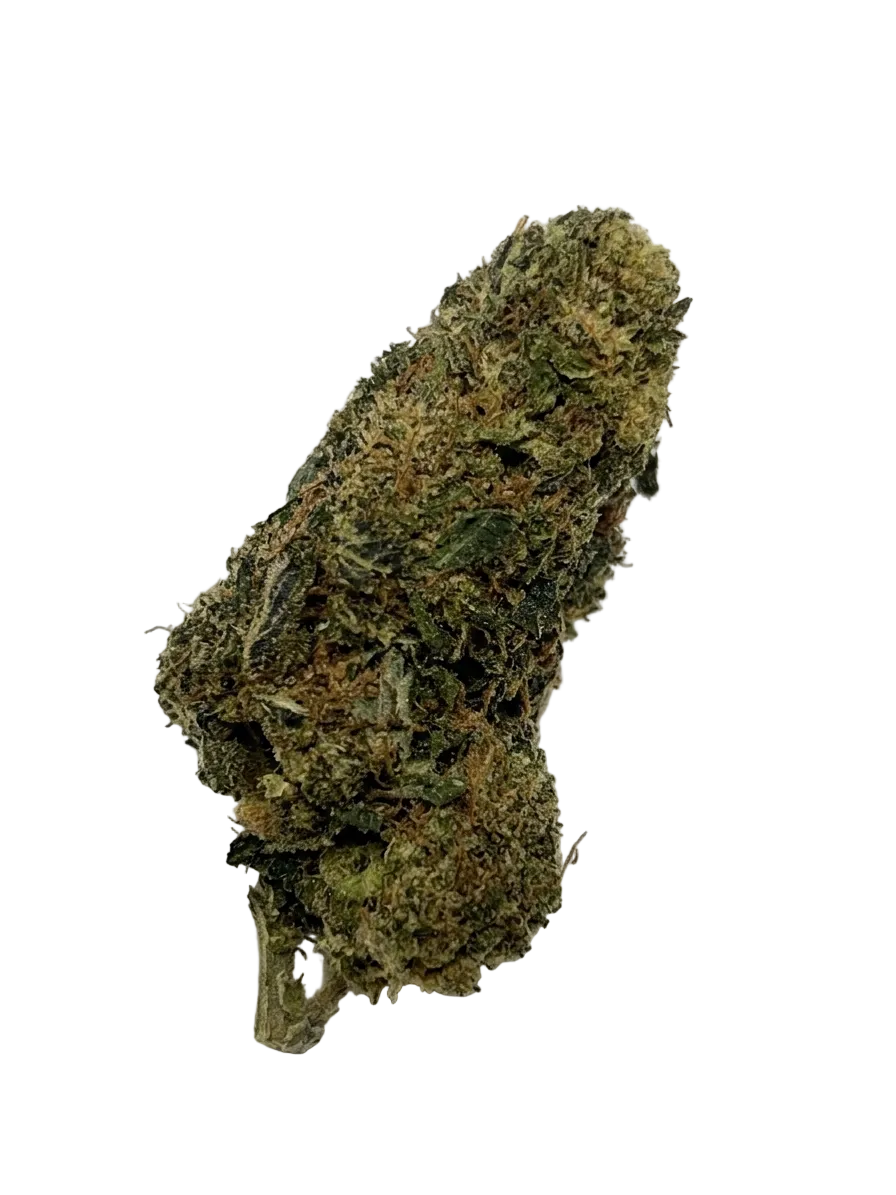Lemon Haze – Fleur HE Green Society