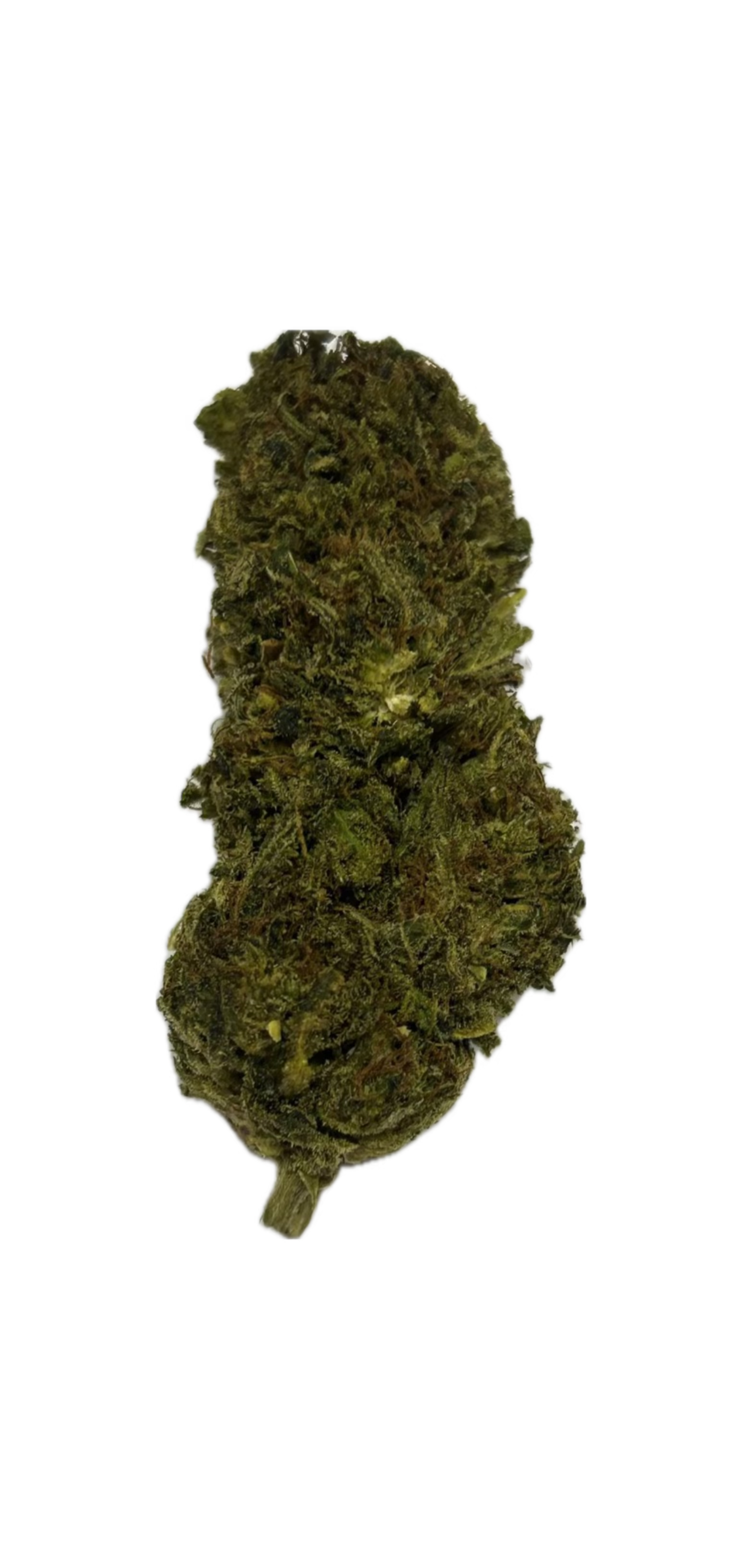 Super Silver Haze – Fleur HE Green Society