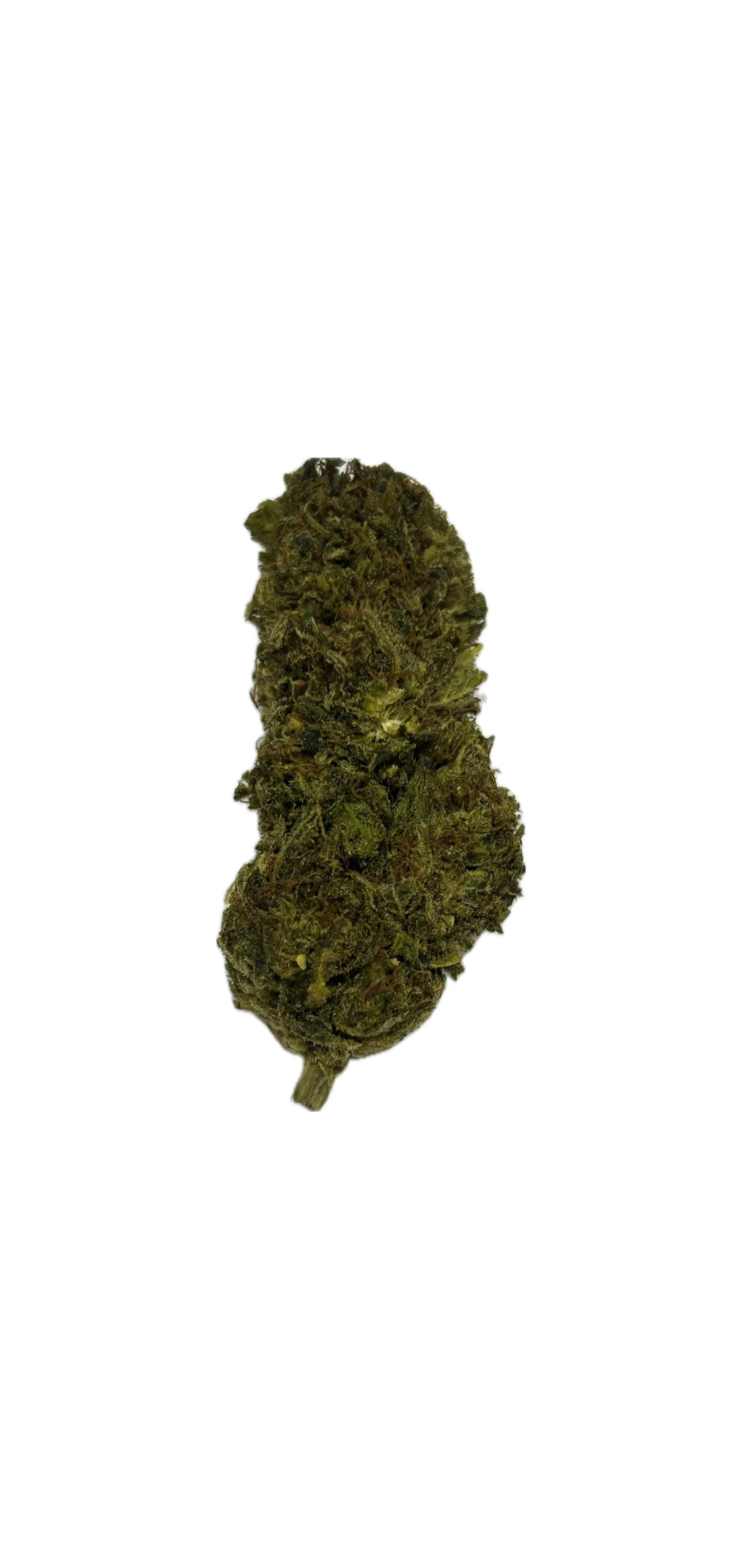 Super Silver Haze – Fleur HE Green Society