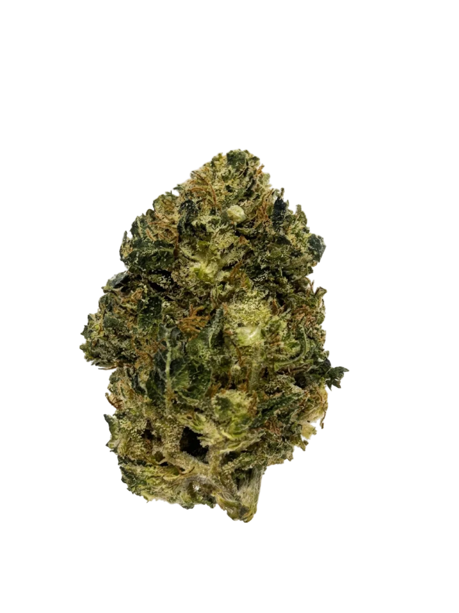 Mango Star – Fleur HE Green Society
