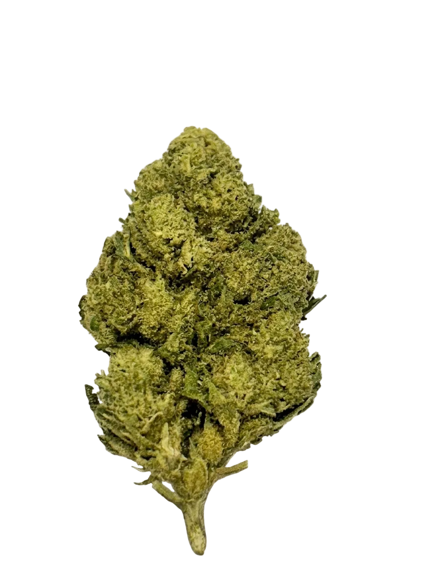Skunk – Fleur CBD Natural Light Ma boutique