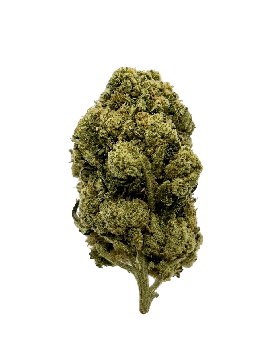 Amnesia Haze – Fleur CBD Indoor Green Society