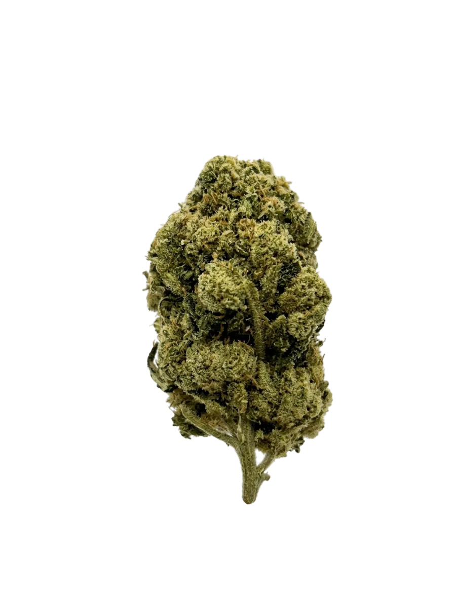 Amnesia Haze – Fleur CBD Indoor Green Society