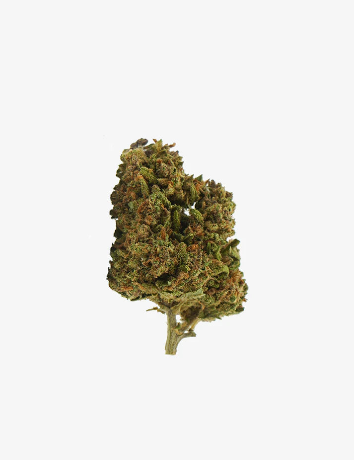 Biscotti – Fleur CBD Natural Light