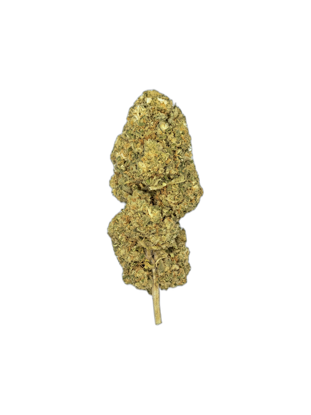 Bubble Glue – Fleur CBD Indoor, tête détourée