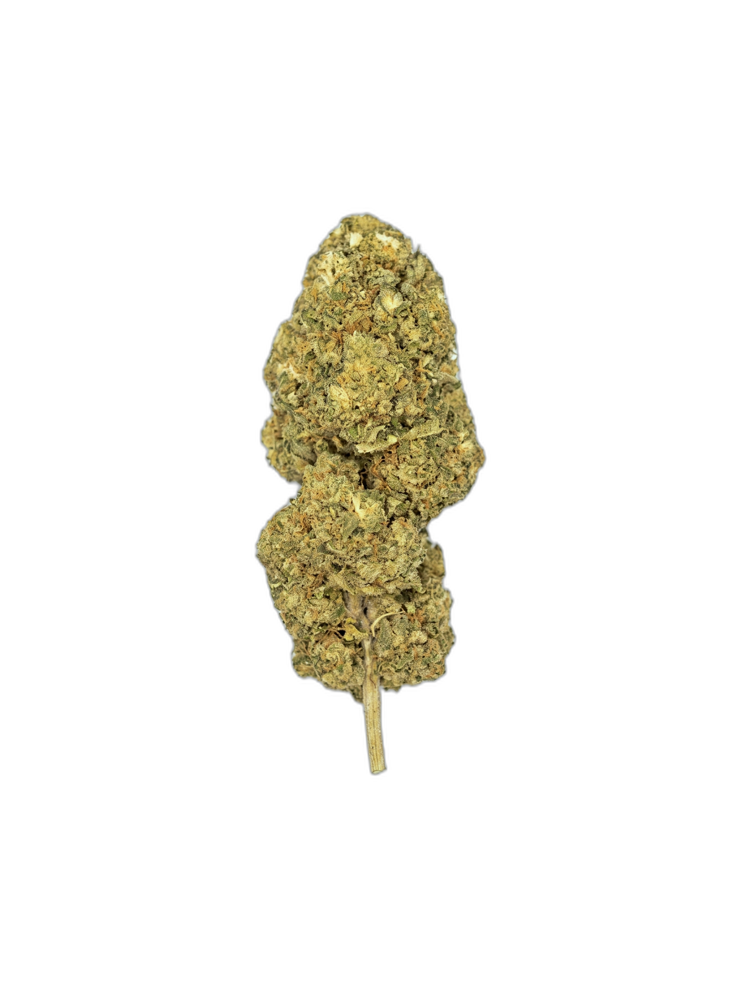 Bubble Glue – Fleur CBD Indoor, tête détourée
