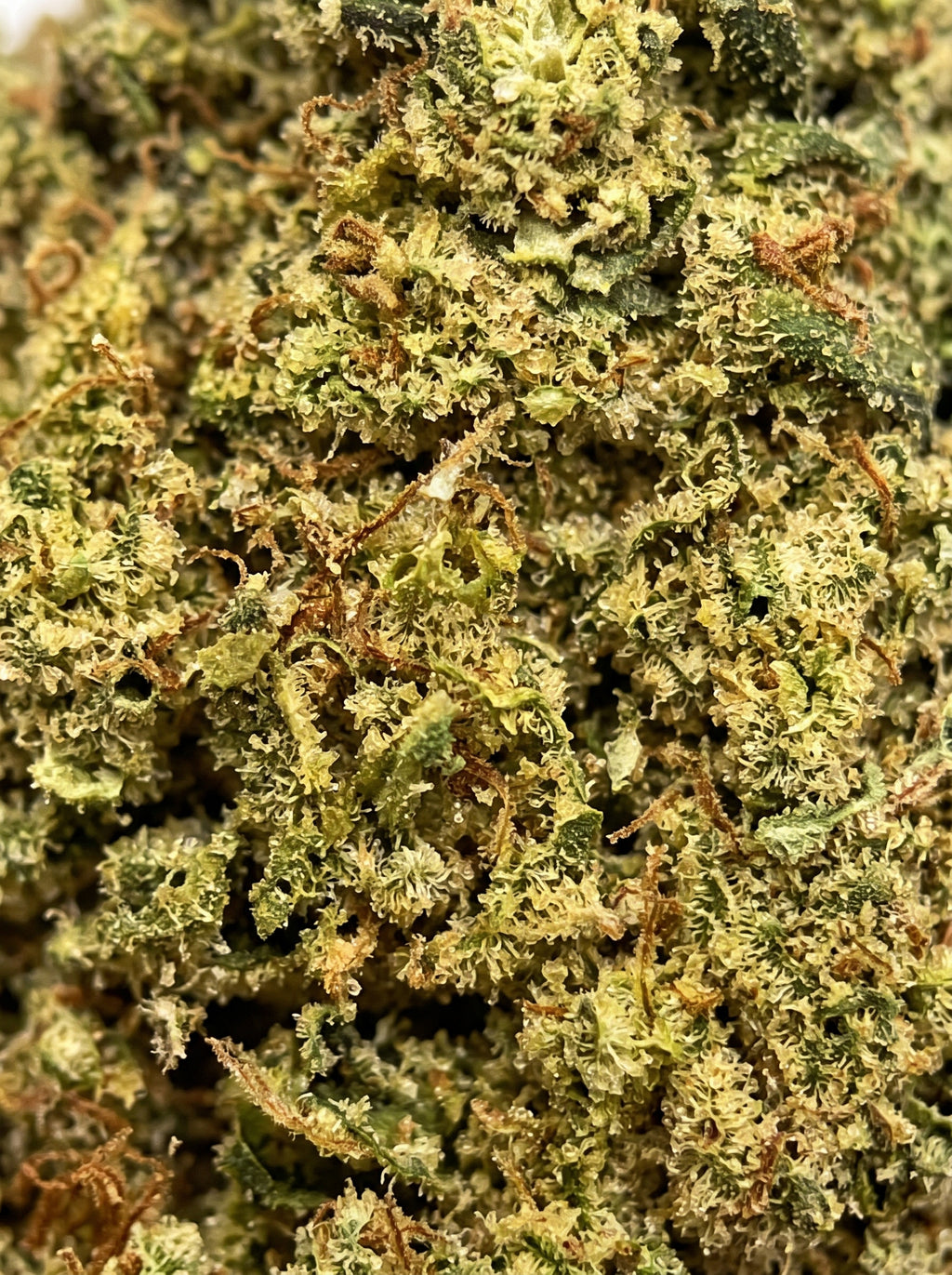 Forbidden Fruit – zoom macro sur la fleur