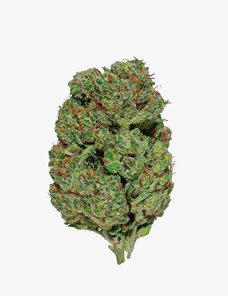 Gorilla fruitz – Fleur CBD Indoor