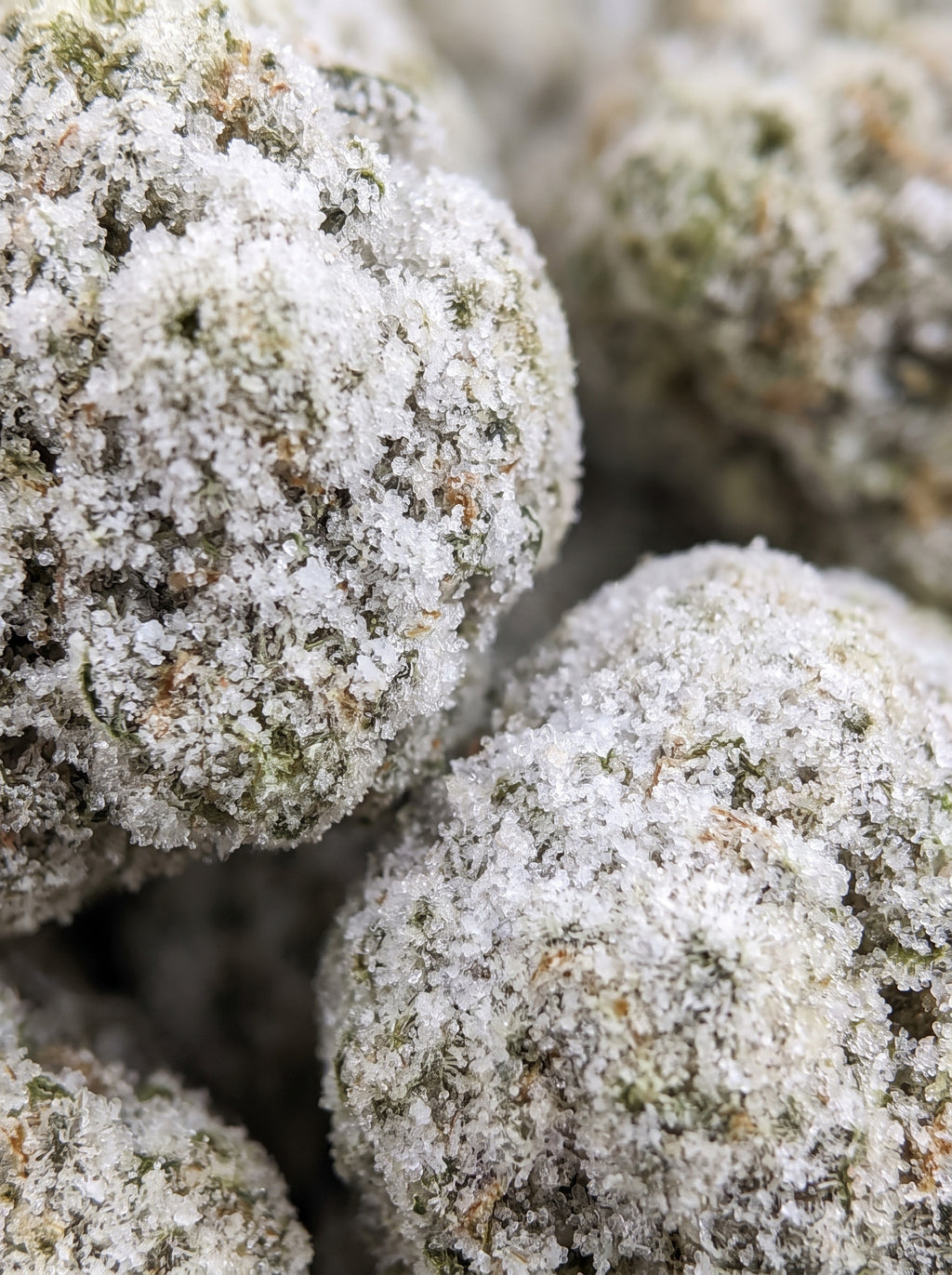 Ice Rock – zoom macro sur les têtes givrées