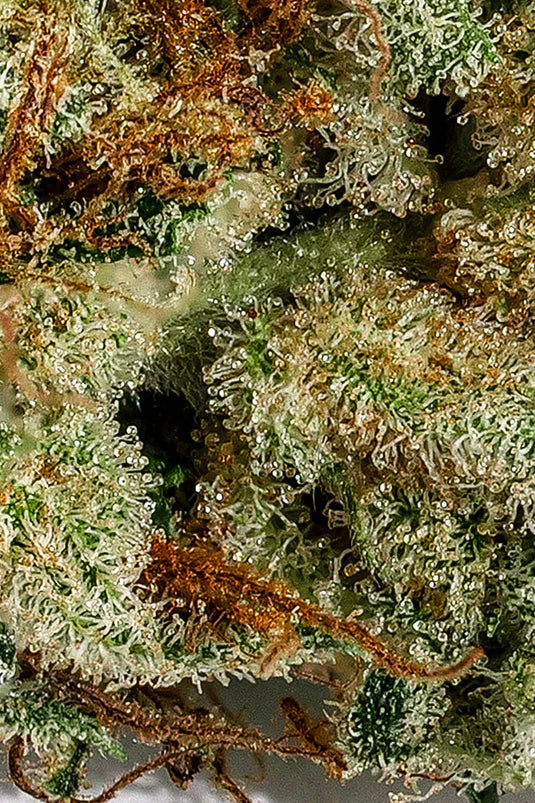 Emerald Triangle – Fleur CBD Indoor