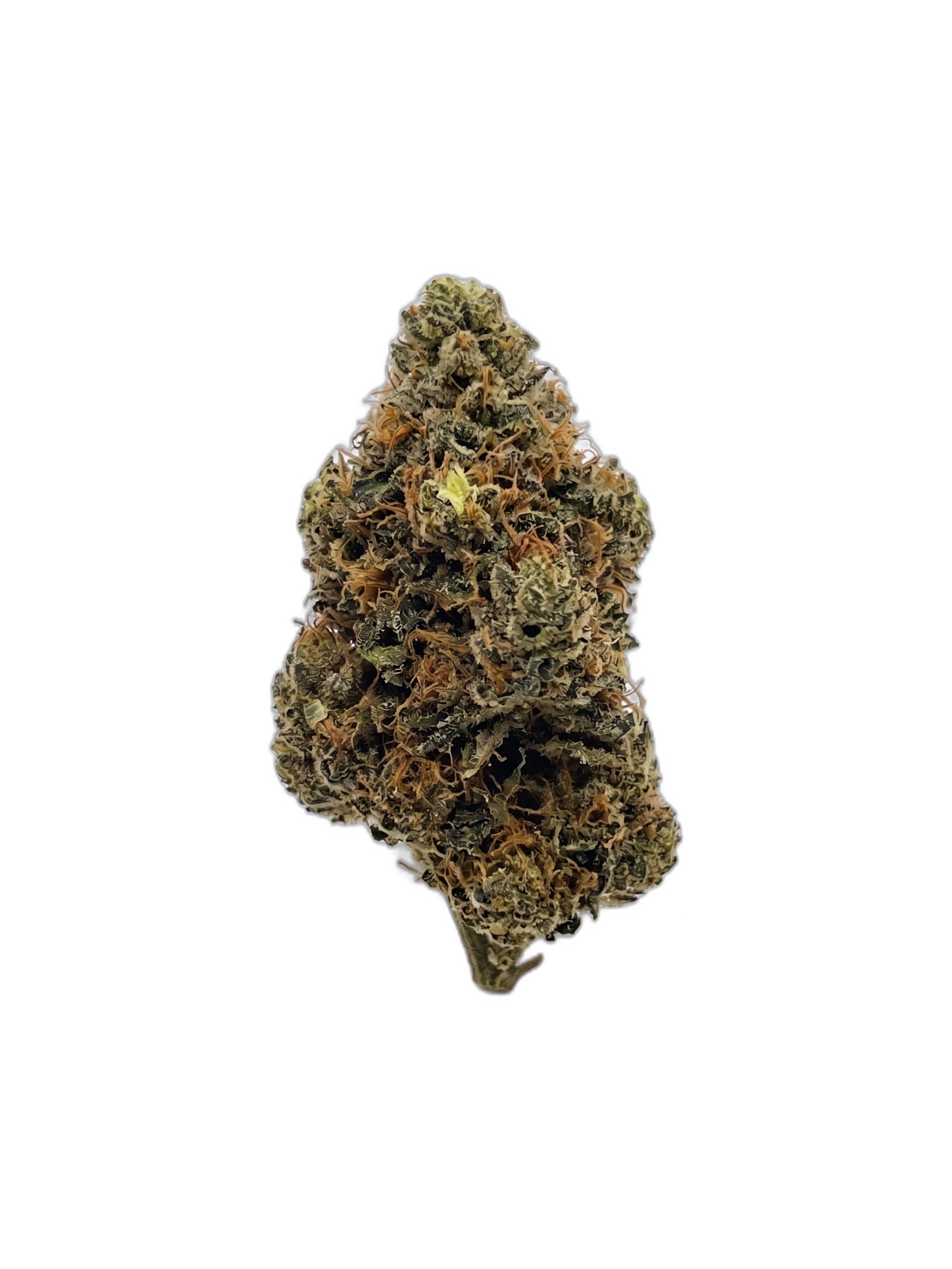Lemon Haze – Fleur HE