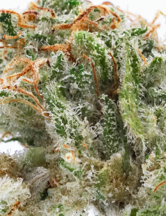 Cali Mango – Fleur CBD Indoor