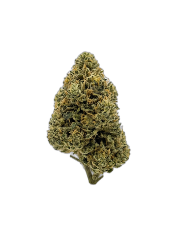 Mango Star – Fleur HE