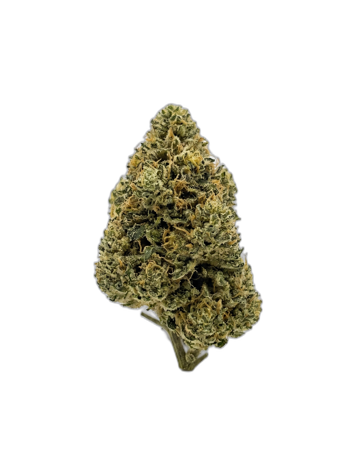 Mango Star – Fleur HE