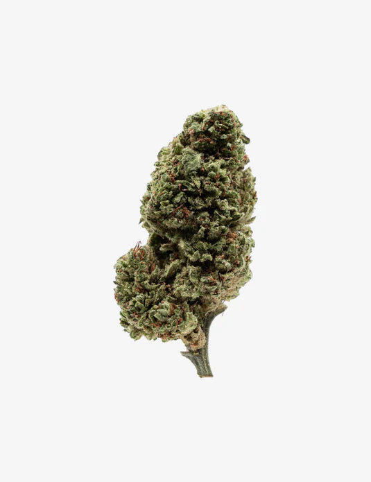 Cali Mango – Fleur CBD Indoor
