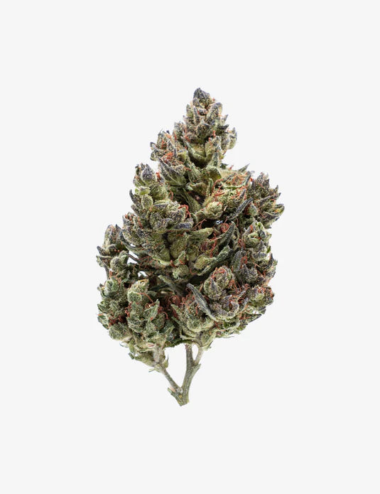 Moby – Fleur CBD Greenhouse