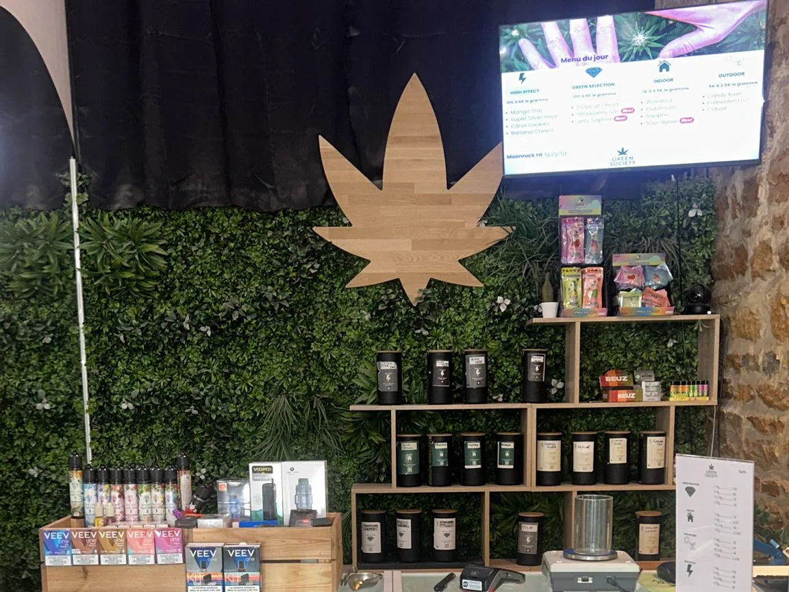 Green Society Lyon – Cours Gambetta